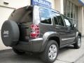 2005 Dark Khaki Pearl Jeep Liberty Limited 4x4  photo #3