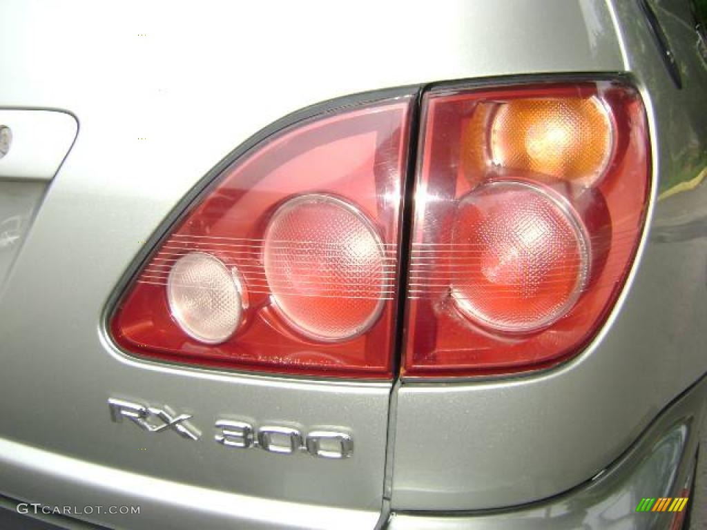 2000 RX 300 AWD - Millennium Silver Metallic / Gray photo #17