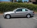 Pewter Metallic - E 320 Sedan Photo No. 3