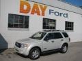 2008 Light Sage Metallic Ford Escape XLT V6 4WD  photo #1