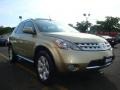 2006 Chardonnay Metallic Nissan Murano SL AWD  photo #13