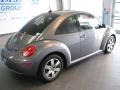 Platinum Grey - New Beetle 2.5 Coupe Photo No. 4