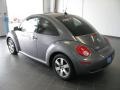 Platinum Grey - New Beetle 2.5 Coupe Photo No. 6