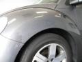 Platinum Grey - New Beetle 2.5 Coupe Photo No. 7