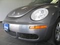 Platinum Grey - New Beetle 2.5 Coupe Photo No. 8