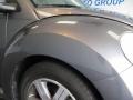 Platinum Grey - New Beetle 2.5 Coupe Photo No. 10