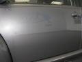 Platinum Grey - New Beetle 2.5 Coupe Photo No. 20