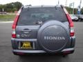 2005 Pewter Pearl Honda CR-V Special Edition 4WD  photo #4