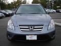 2005 Pewter Pearl Honda CR-V Special Edition 4WD  photo #8