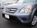 2005 Pewter Pearl Honda CR-V Special Edition 4WD  photo #28