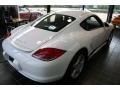 Carrara White - Cayman S Photo No. 7