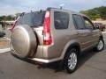 2005 Sahara Sand Metallic Honda CR-V Special Edition 4WD  photo #5
