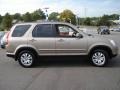 2005 Sahara Sand Metallic Honda CR-V Special Edition 4WD  photo #6