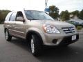 2005 Sahara Sand Metallic Honda CR-V Special Edition 4WD  photo #7