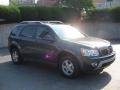 2009 Cyber Gray Metallic Pontiac Torrent AWD  photo #8