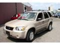 Dune Pearl Metallic - Escape XLT V6 4WD Photo No. 1