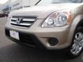 2005 Sahara Sand Metallic Honda CR-V Special Edition 4WD  photo #28