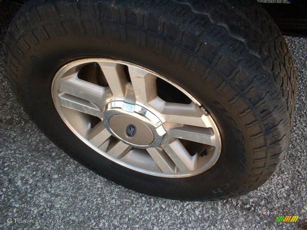 2005 F150 XLT SuperCab 4x4 - Dark Shadow Grey Metallic / Medium Flint Grey photo #6