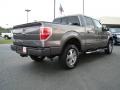 2010 Sterling Grey Metallic Ford F150 FX4 SuperCrew 4x4  photo #3