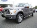 2010 Sterling Grey Metallic Ford F150 FX4 SuperCrew 4x4  photo #6