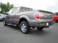 2010 Sterling Grey Metallic Ford F150 FX4 SuperCrew 4x4  photo #32