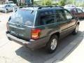 2003 Onyx Green Pearlcoat Jeep Grand Cherokee Laredo 4x4  photo #5