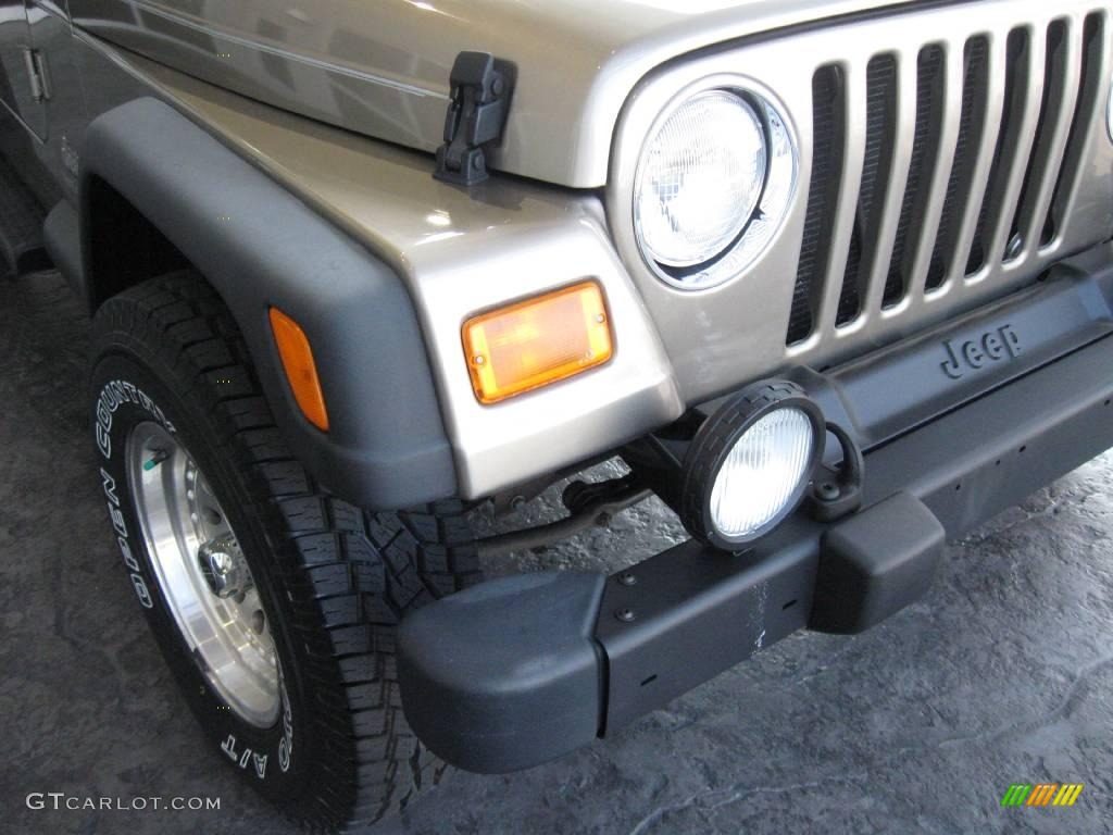 2004 Wrangler Sport 4x4 - Light Khaki Metallic / Khaki photo #5
