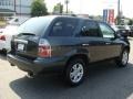 2006 Sage Brush Green Pearl Acura MDX Touring  photo #6