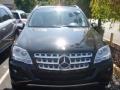 Black - ML 350 4Matic Photo No. 2