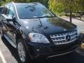 Black - ML 350 4Matic Photo No. 3