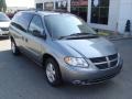 Silver Steel Metallic - Grand Caravan SXT Photo No. 19