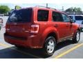 2008 Redfire Metallic Ford Escape XLT V6 4WD  photo #6