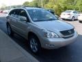 2006 Savannah Metallic Lexus RX 330 AWD  photo #6