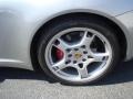 GT Silver Metallic - 911 Carrera S Cabriolet Photo No. 23