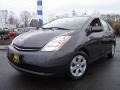 Magnetic Gray Metallic - Prius Hybrid Photo No. 1