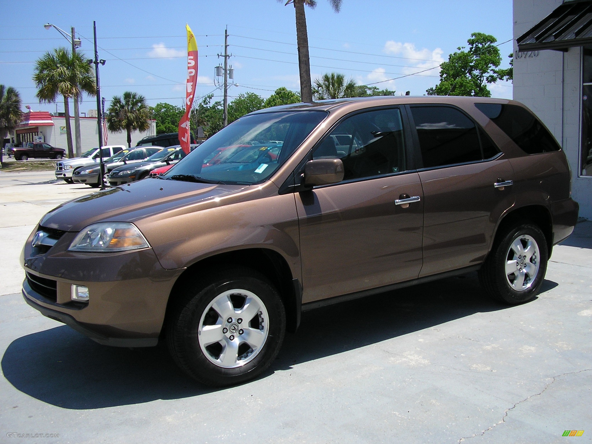 2004 MDX  - Sandstone Metallic / Natural Brown photo #17