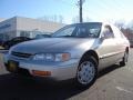 1995 Heather Mist Metallic Honda Accord LX Sedan  photo #1