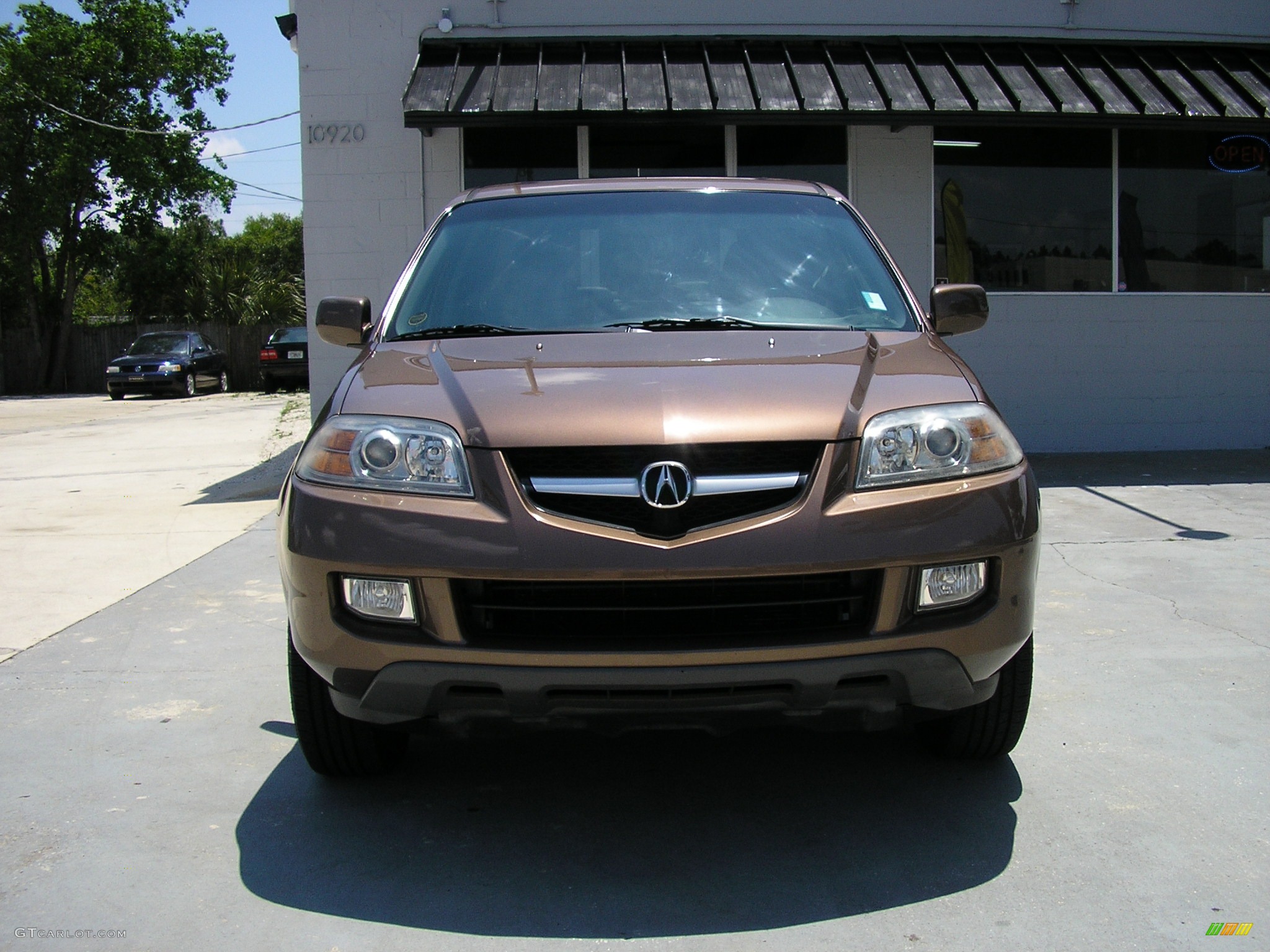 2004 MDX  - Sandstone Metallic / Natural Brown photo #20