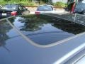 Carbon Gray Pearl - TSX Sedan Photo No. 16