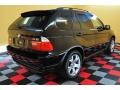 Black Sapphire Metallic - X5 4.4i Photo No. 6