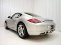 Arctic Silver Metallic - Cayman  Photo No. 5