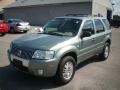 Light Tundra Metallic - Mariner Luxury 4WD Photo No. 1