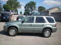 Light Tundra Metallic - Mariner Luxury 4WD Photo No. 7