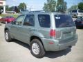 Light Tundra Metallic - Mariner Luxury 4WD Photo No. 8