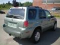 Light Tundra Metallic - Mariner Luxury 4WD Photo No. 10