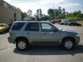 Light Tundra Metallic - Mariner Luxury 4WD Photo No. 11
