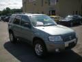 Light Tundra Metallic - Mariner Luxury 4WD Photo No. 12