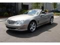 Pewter Silver Metallic - SL 500 Roadster Photo No. 16