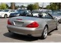 Pewter Silver Metallic - SL 500 Roadster Photo No. 19