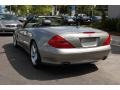 Pewter Silver Metallic - SL 500 Roadster Photo No. 21